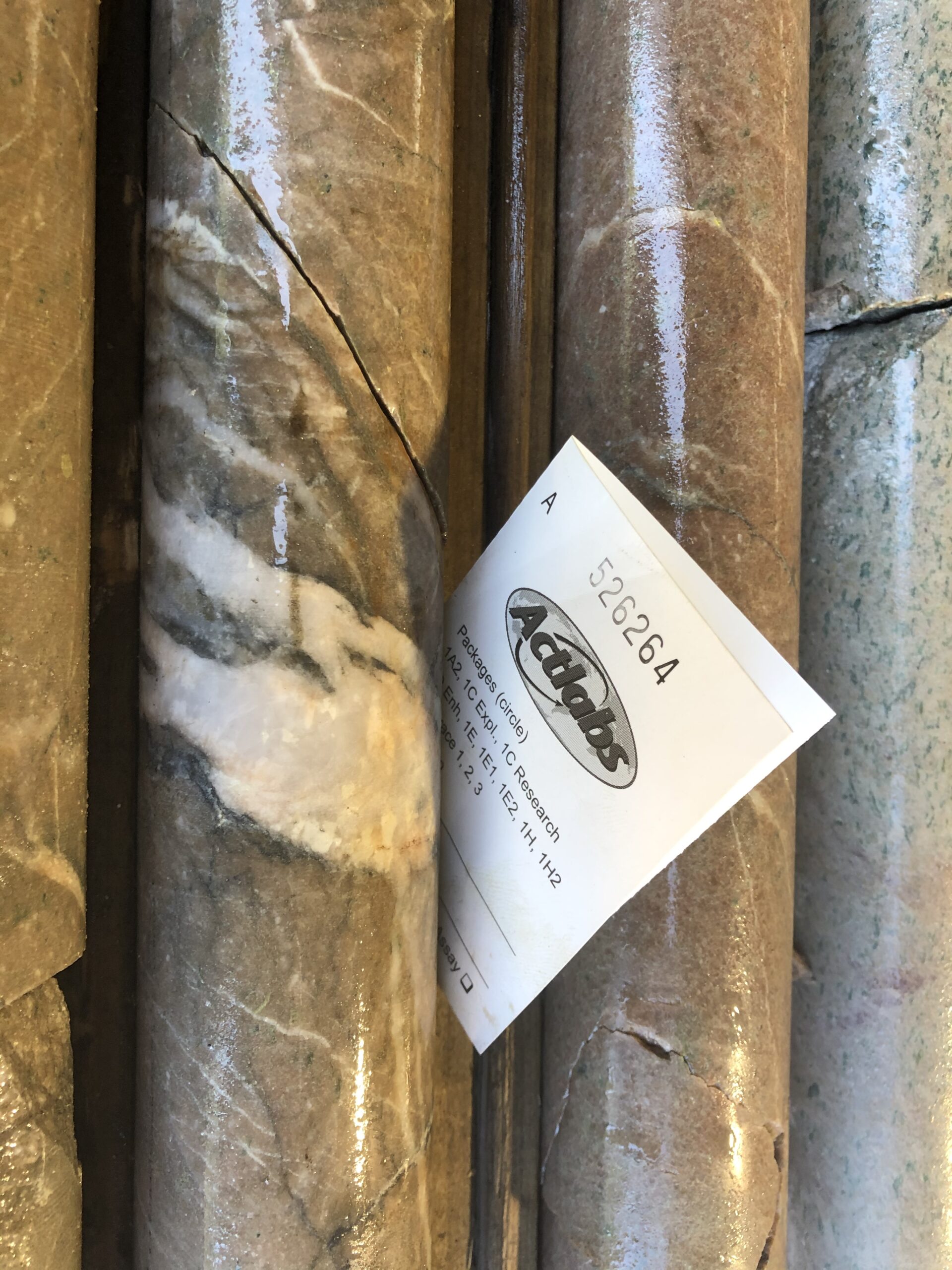 JSHG Announces C1 JV Property Drill Results